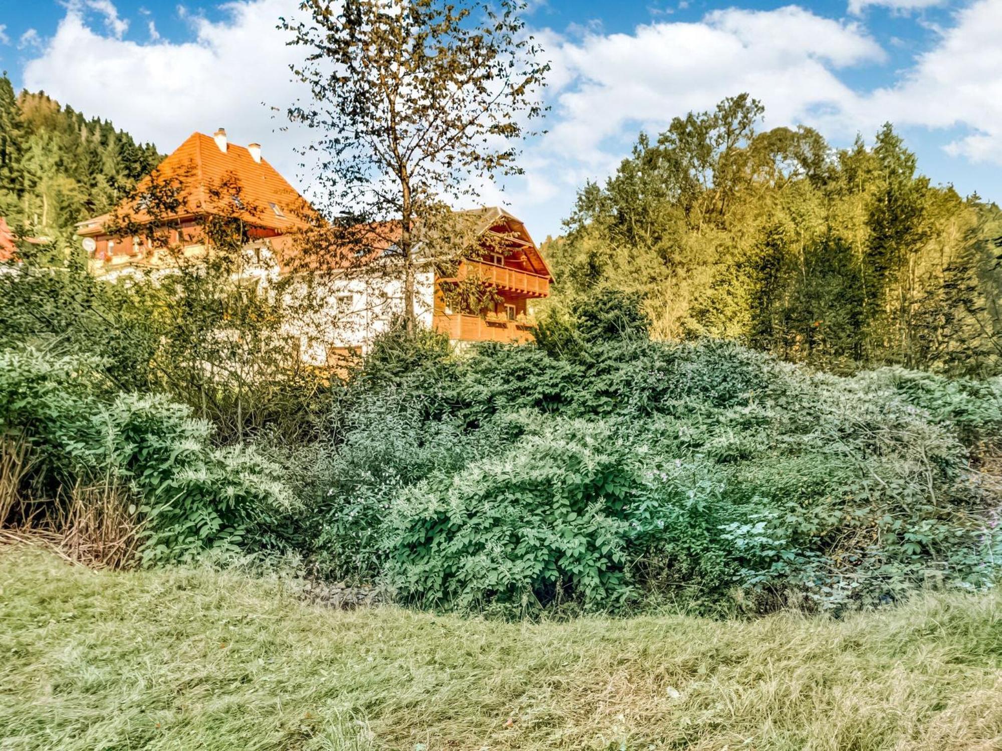 Apartment Thuringian Forest With Balcony Gießübel 외부 사진